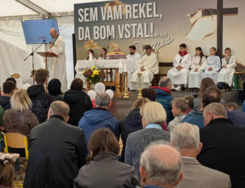 Naša pastoralna zveza v številkah