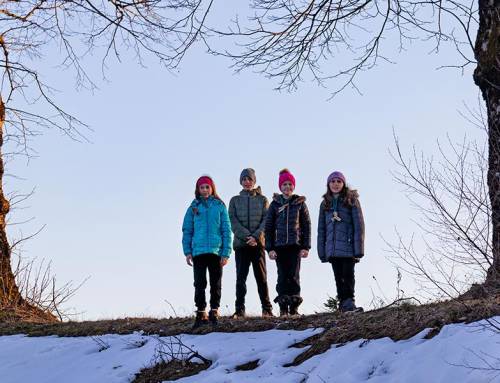 Ker se zima poslavlja, obudimo spomine: Zimovanje krdela Mali voz